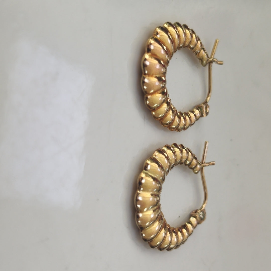 ARRACADAS PAR ORO 10 K 2 GRMS (SEMINUEVO)
