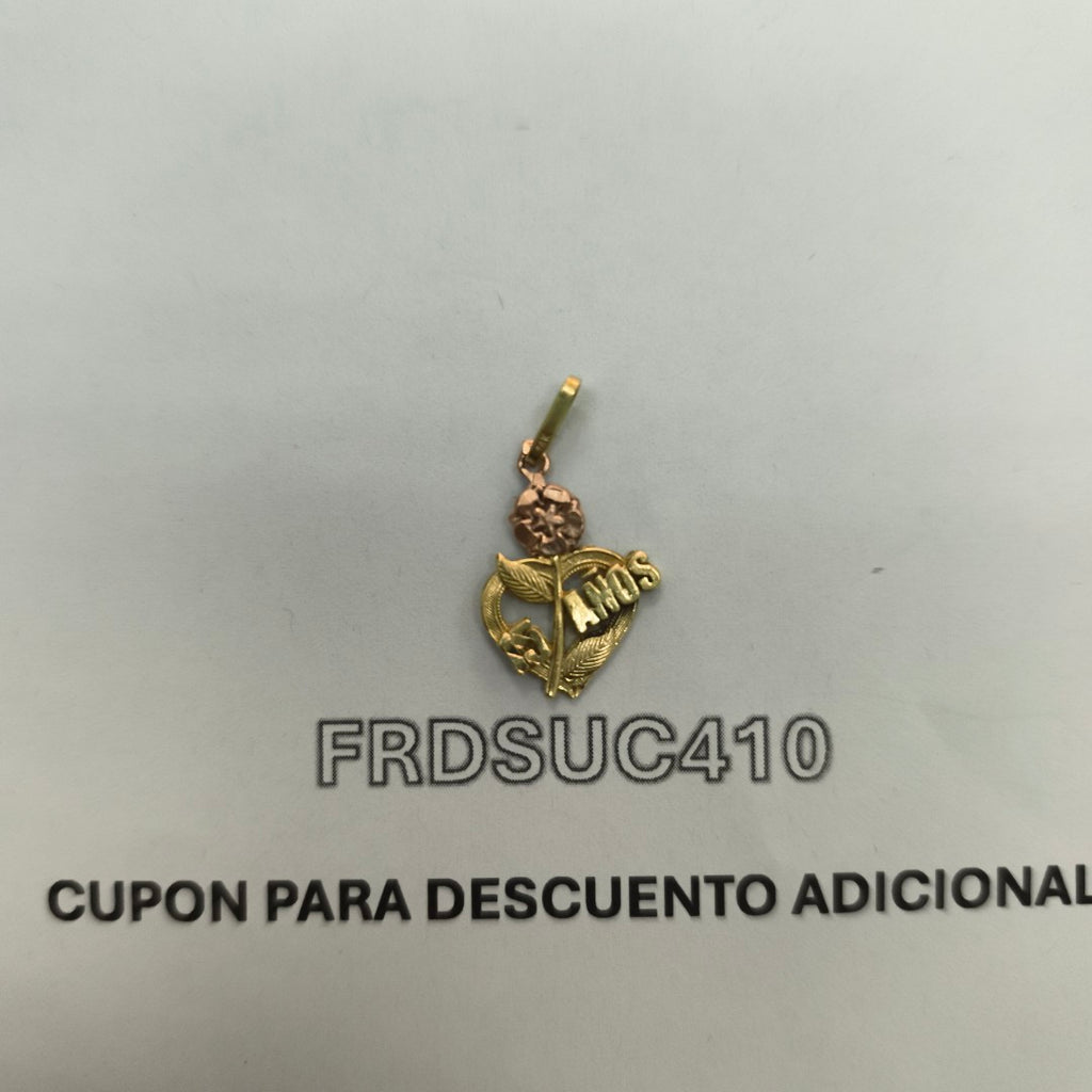 DIJE ORO 14 K 1.4 GRMS (SEMINUEVO)