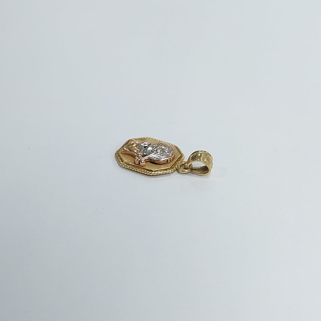 DIJE ORO 14 K 2.2 GRMS (SEMINUEVO)