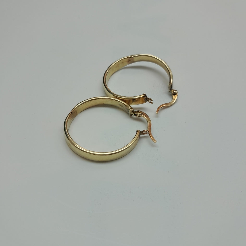 ARRACADAS PAR ORO 10 K 2.2 GRMS (SEMINUEVO)