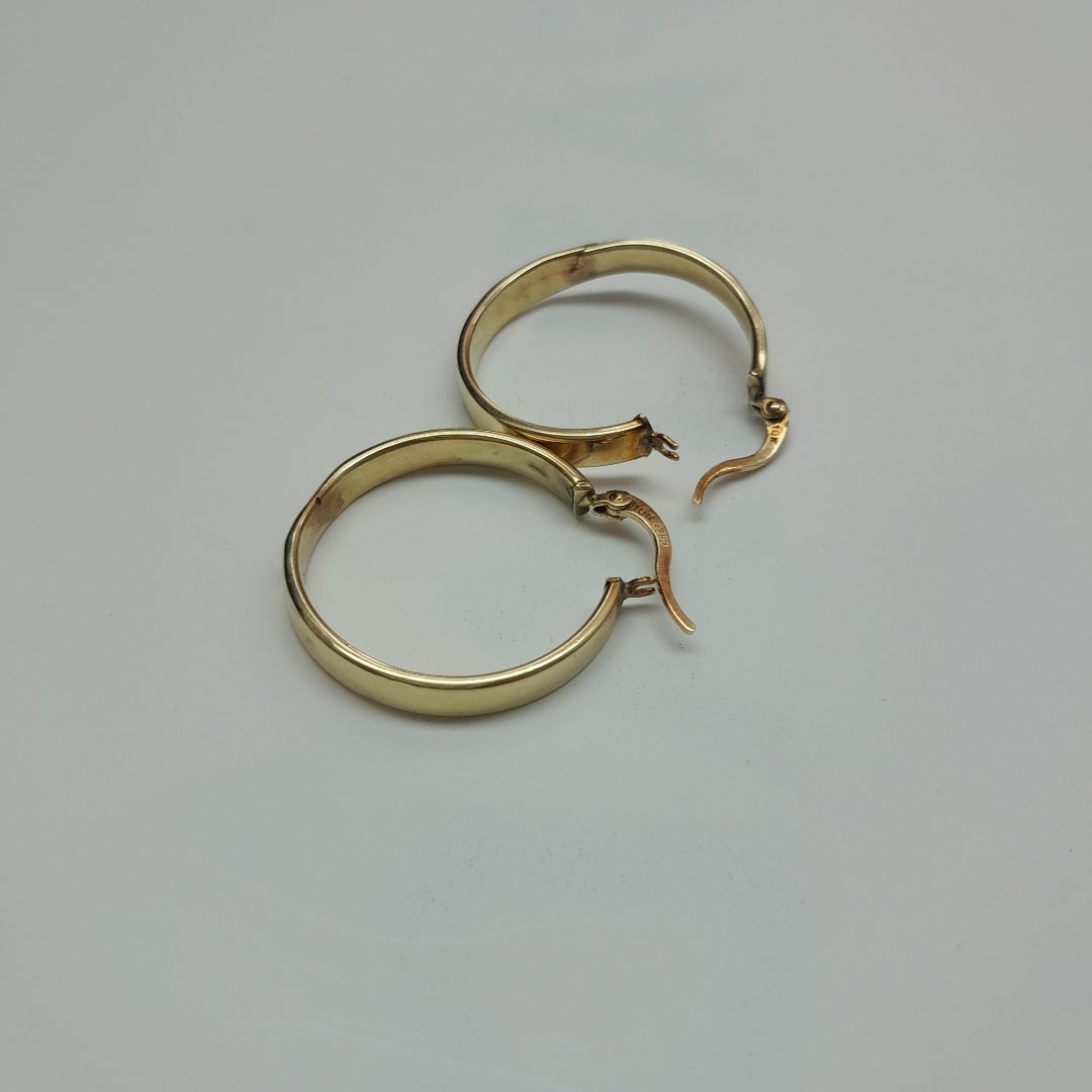 ARRACADAS PAR ORO 10 K 2.2 GRMS (SEMINUEVO)