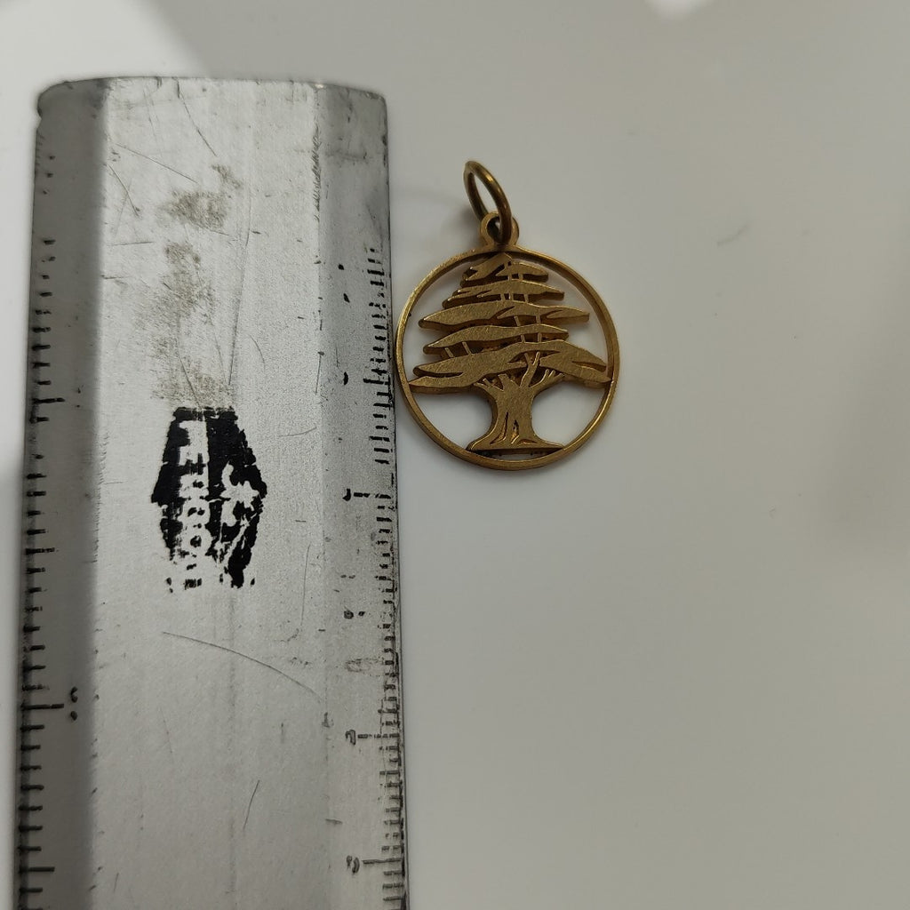 DIJE ORO 10 K 3.6 GRMS (SEMINUEVO)