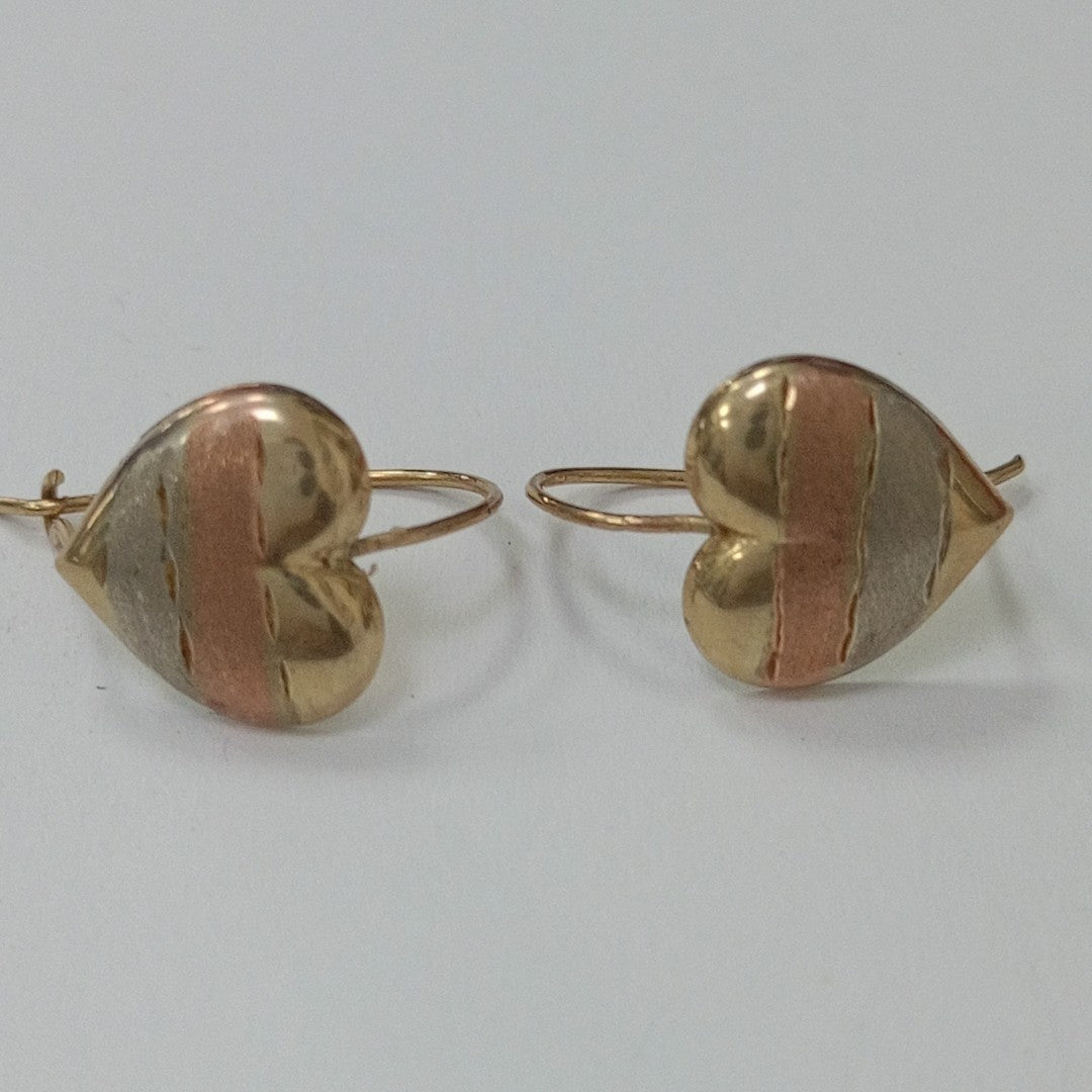 ARETES PAR ORO 10 K 0.9 GRMS (SEMINUEVO)