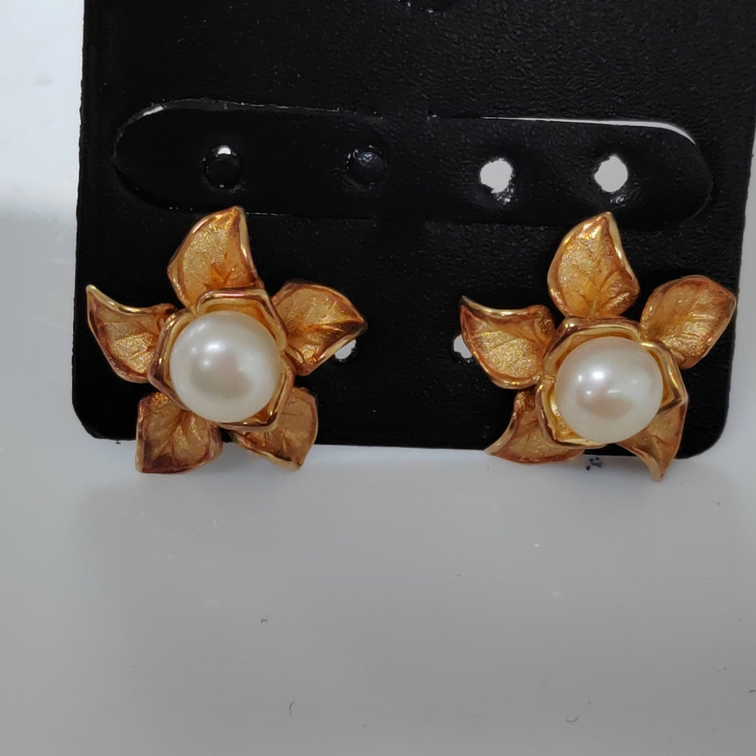 ARETES PAR ORO 14 K 5.6 GRMS (SEMINUEVO)