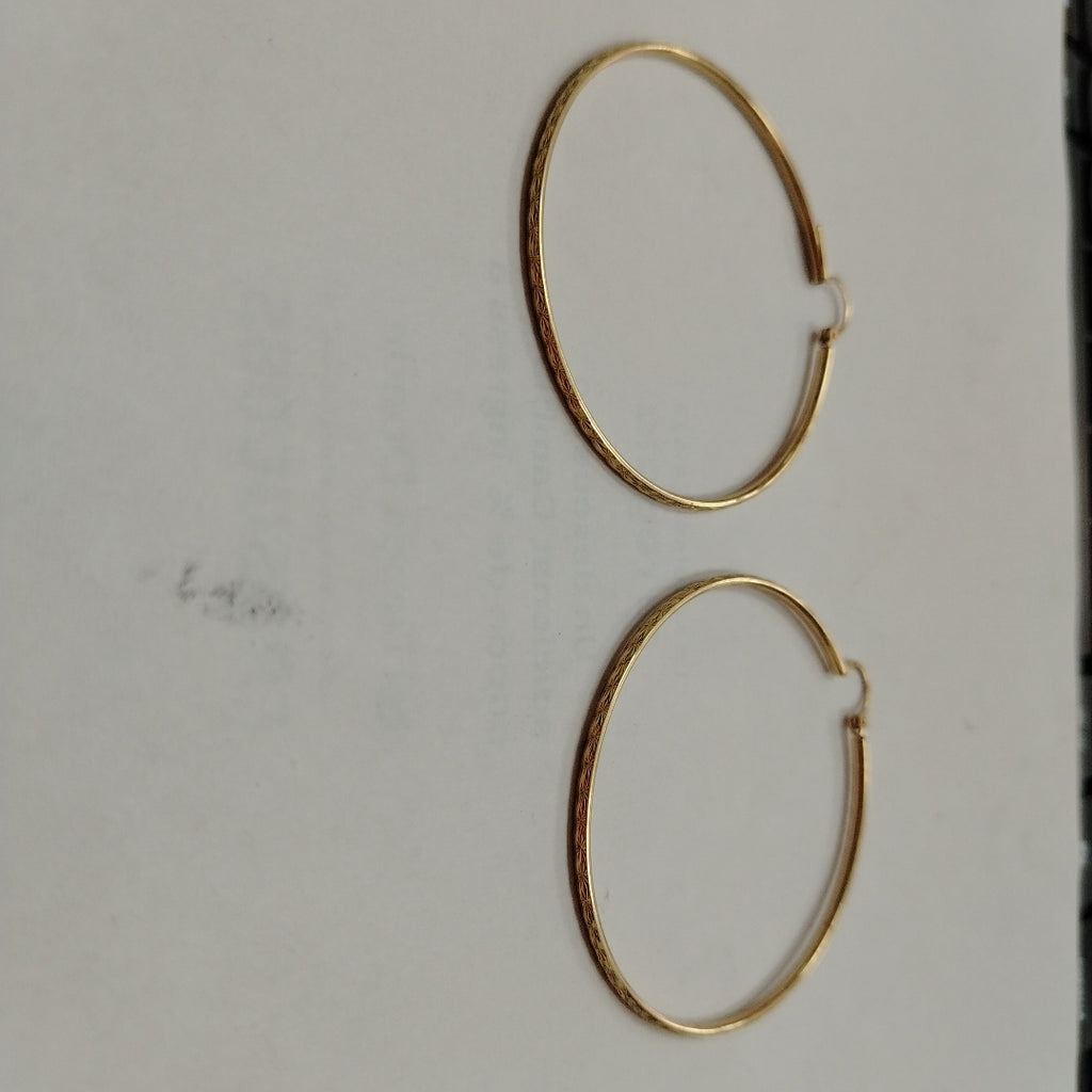 ARRACADAS PAR ORO 10 K 5.6 GRMS (SEMINUEVO)