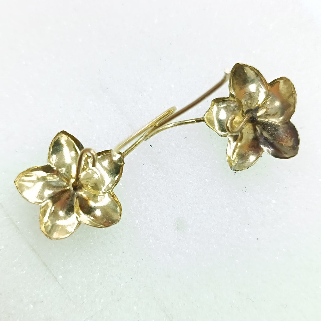 ARETES PAR ORO 14 K 0.8 GRMS (SEMINUEVO)