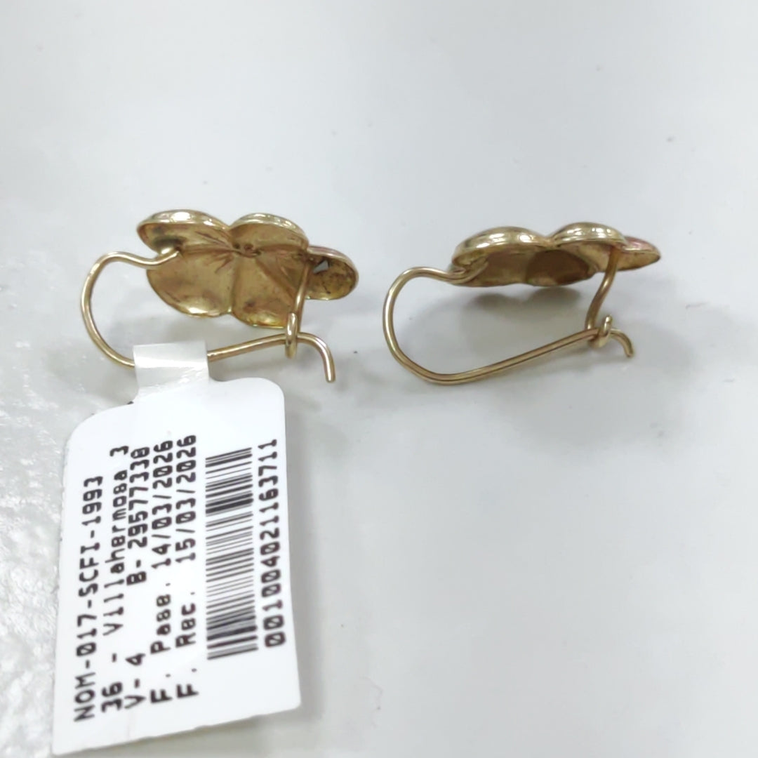 ARETES PAR ORO 10 K 1,70 GRMS (SEMINUEVO)