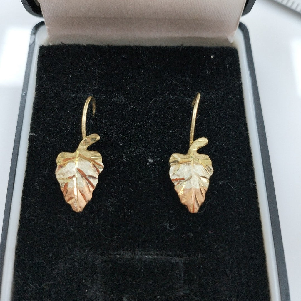 ARETES PAR ORO 10 K 1,20 GRMS (SEMINUEVO)