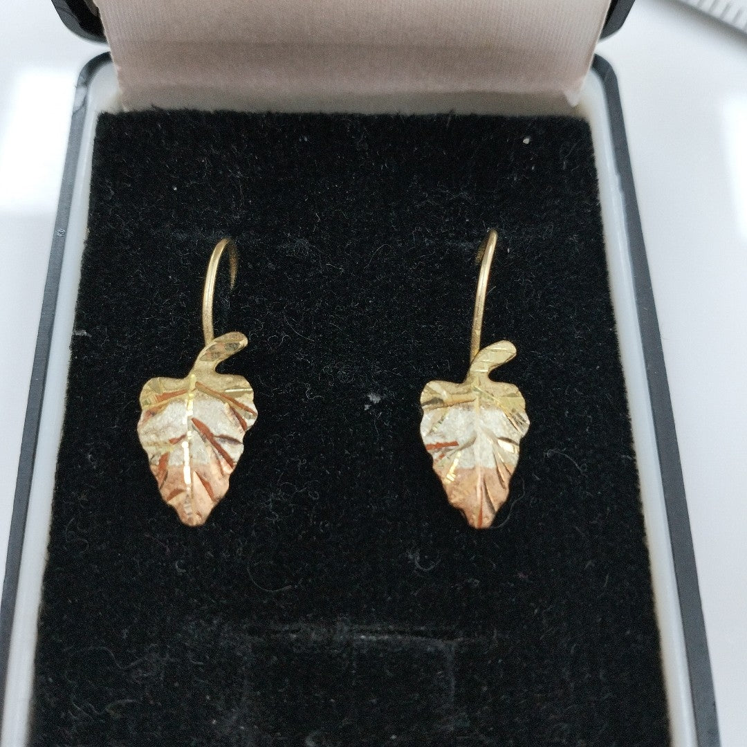 ARETES PAR ORO 10 K 1,20 GRMS (SEMINUEVO)