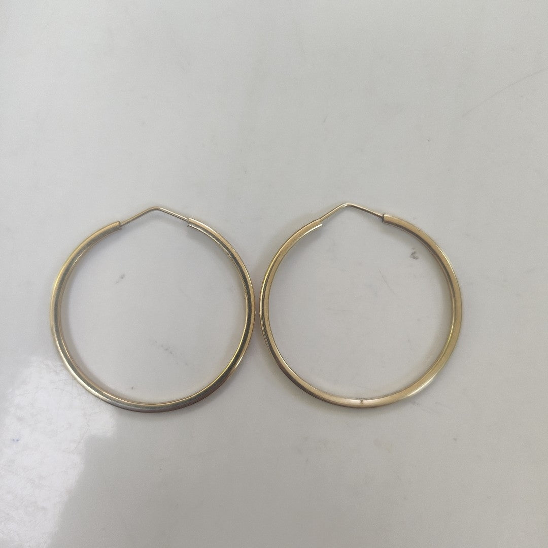 ARRACADAS PAR ORO 10 K 3.9 GRMS (SEMINUEVO)