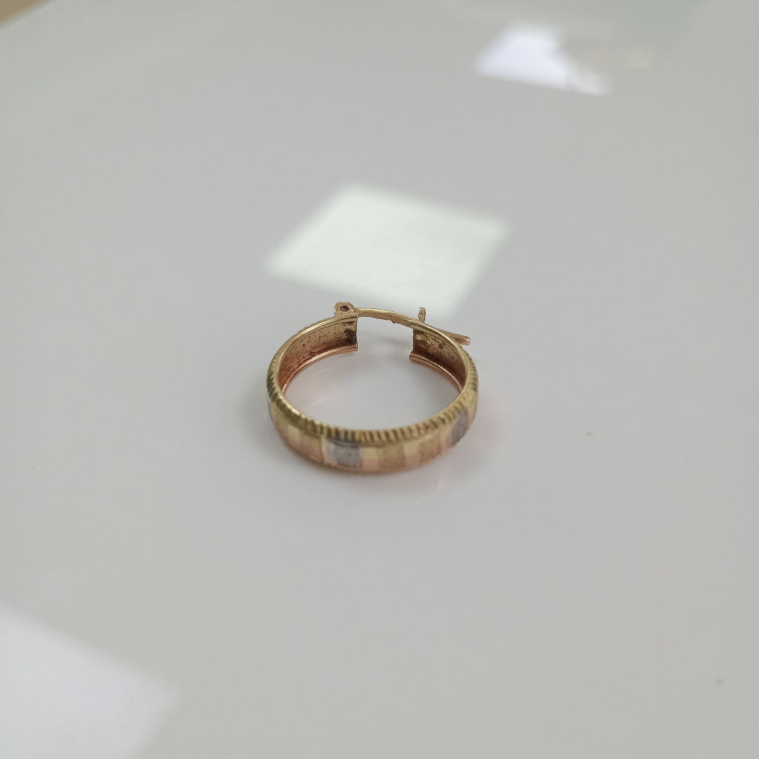 ARETES PAR ORO 10 K 2.4 GRMS (SEMINUEVO)