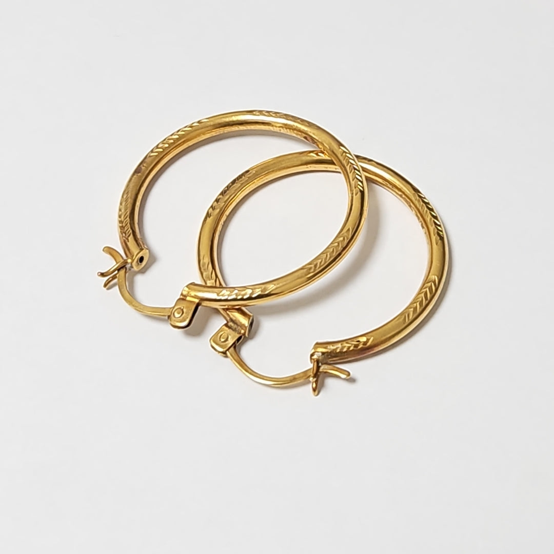 ARETES PAR ORO 10 K 4,50 GRMS (SEMINUEVO)