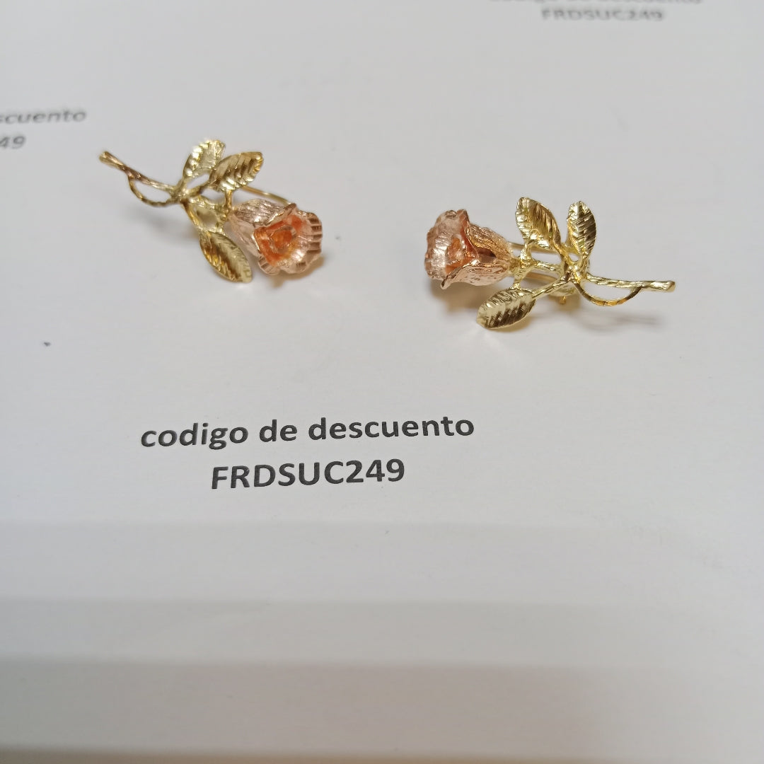 ARETES PAR ORO 10 K 4.9 GRMS (SEMINUEVO)