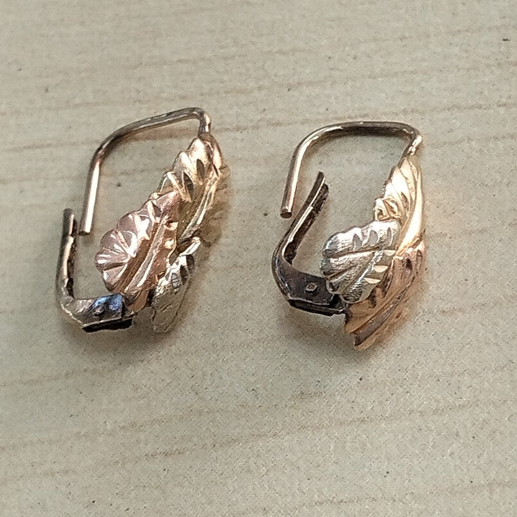 ARETES PAR ORO 10 K 0.8 GRMS (SEMINUEVO)