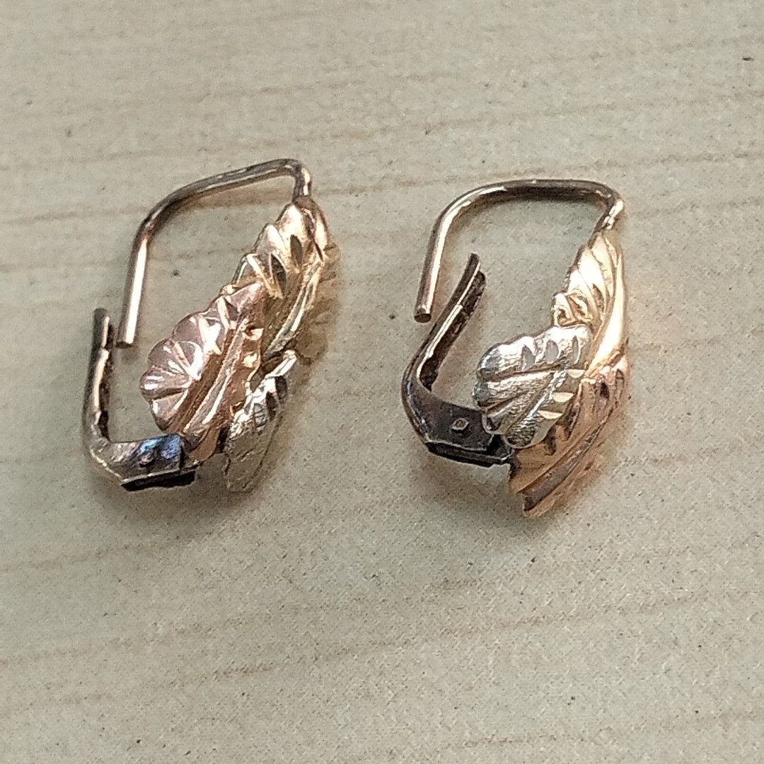ARETES PAR ORO 10 K 0.8 GRMS (SEMINUEVO)