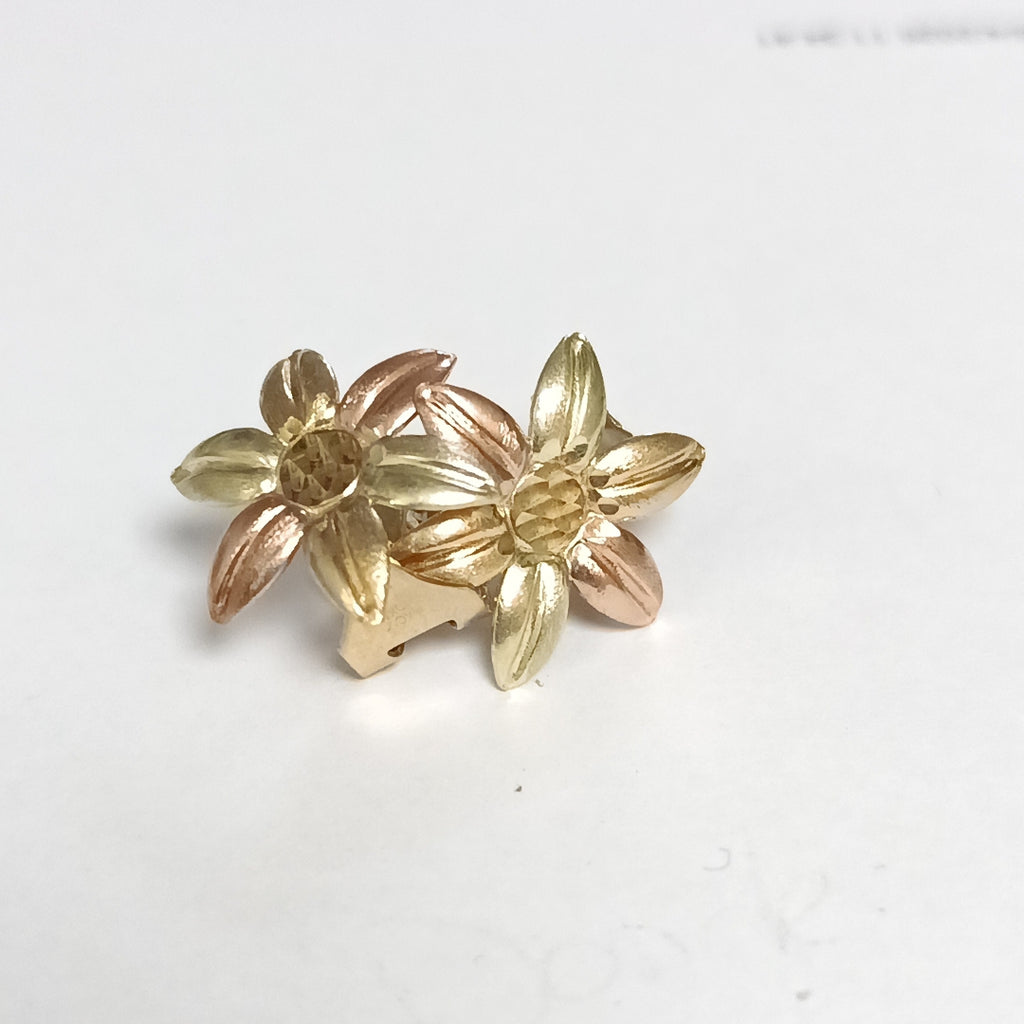 ARETES PAR ORO 10 K 2.7 GRMS (SEMINUEVO)