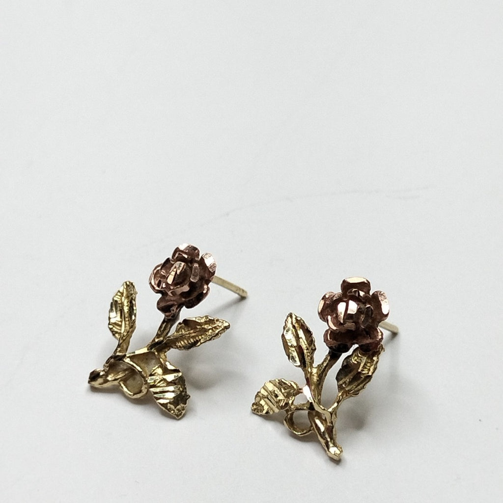 ARETES PAR ORO 10 K 2 GRMS (SEMINUEVO)