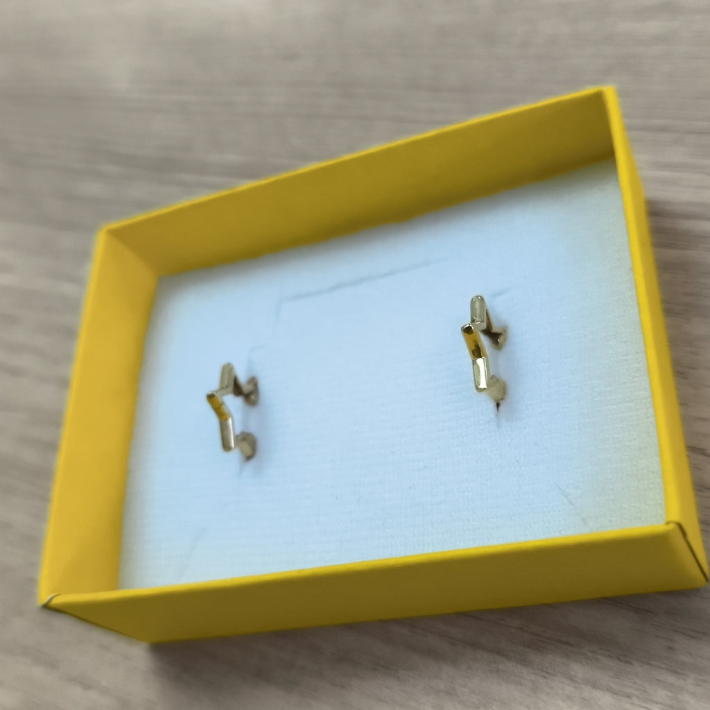 ARRACADAS PAR ORO 14 K 2.1 GRMS (SEMINUEVO)