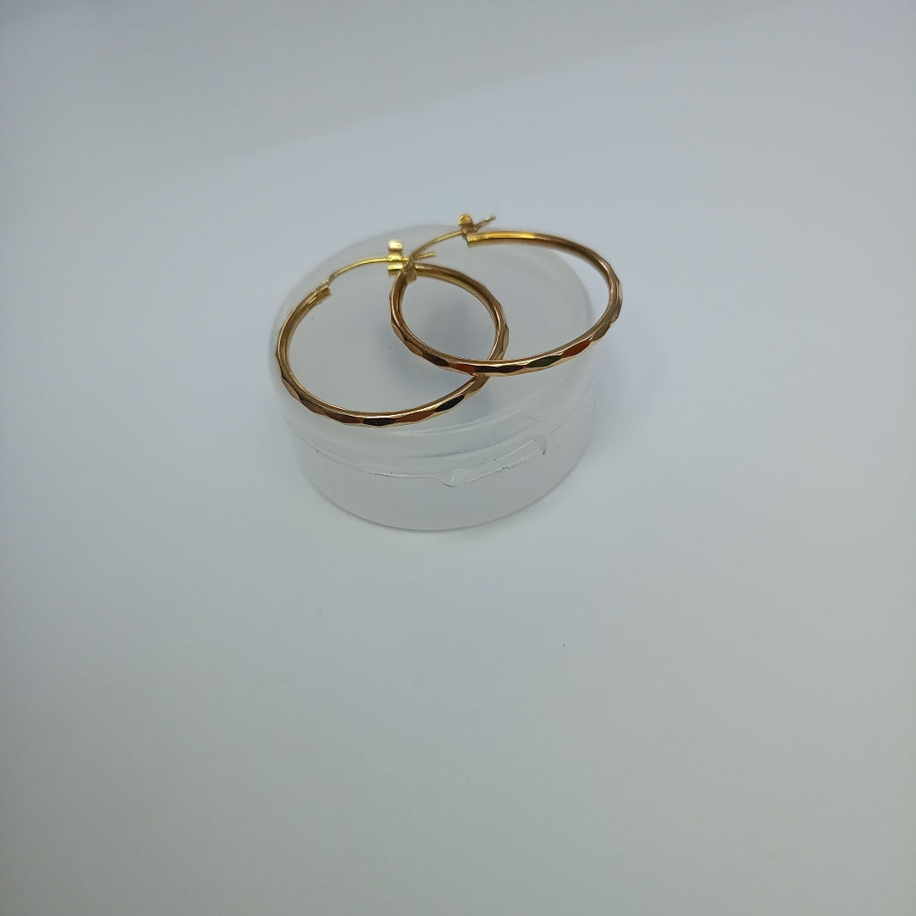 ARRACADAS PAR ORO 10 K 2.2 GRMS (SEMINUEVO)