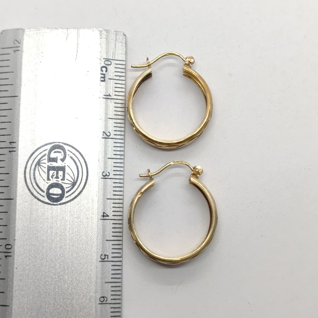 ARRACADAS PAR ORO 10 K 2,90 GRMS (SEMINUEVO)