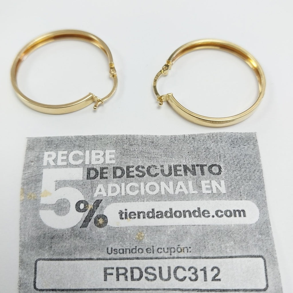 ARRACADAS ORO 10K 2 (NUEVO)