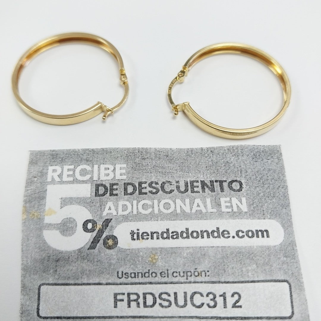 ARRACADAS ORO 10K 2 (NUEVO)