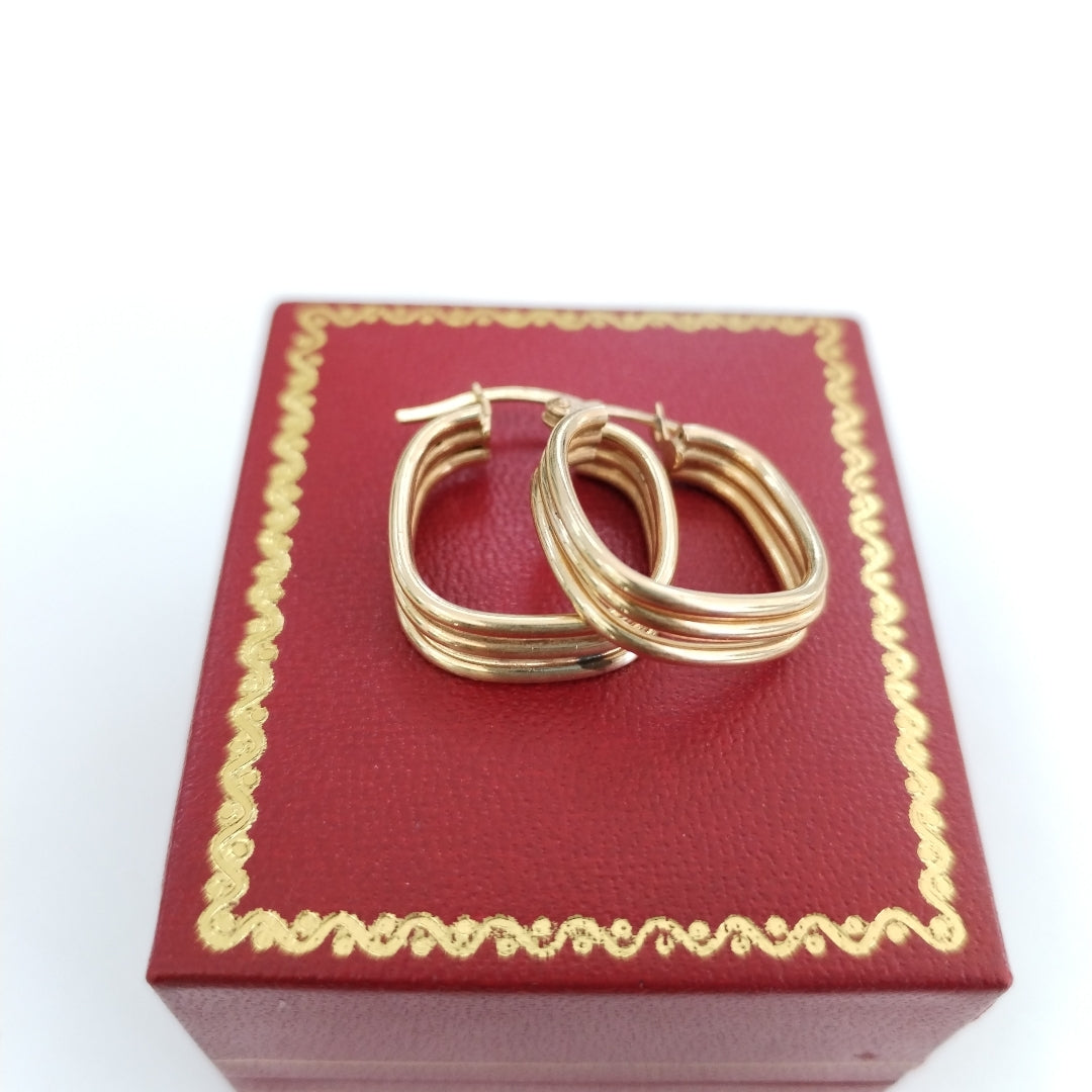 ARETES PAR ORO 10 K 3,10 GRMS (SEMINUEVO)