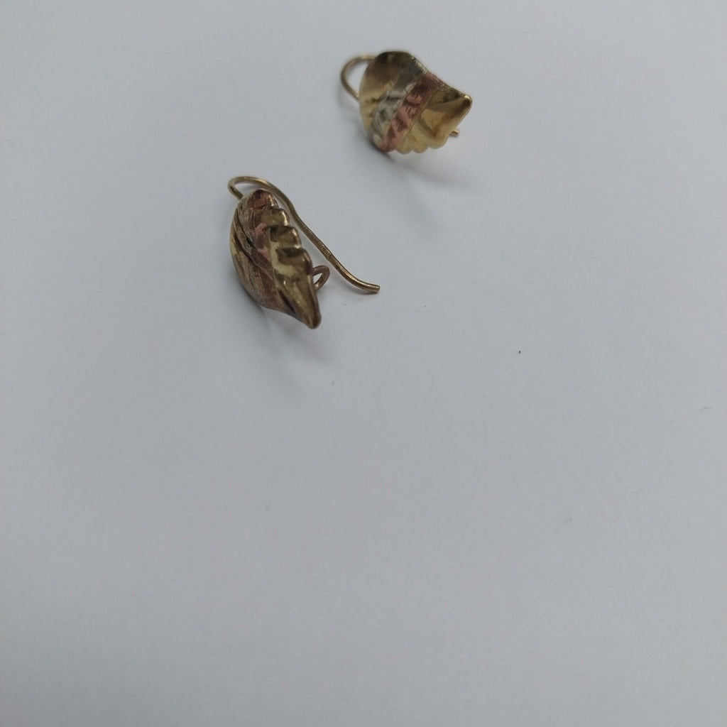 ARETES PAR ORO 10 K 1.4 GRMS (SEMINUEVO)