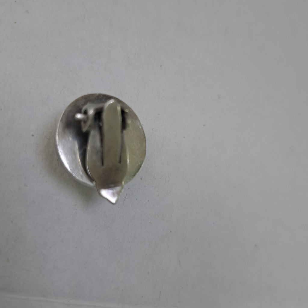 ARETES PAR PLATA 13,40 GRMS (SEMINUEVO)