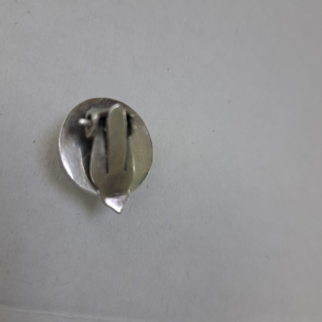 ARETES PAR PLATA 13,40 GRMS (SEMINUEVO)