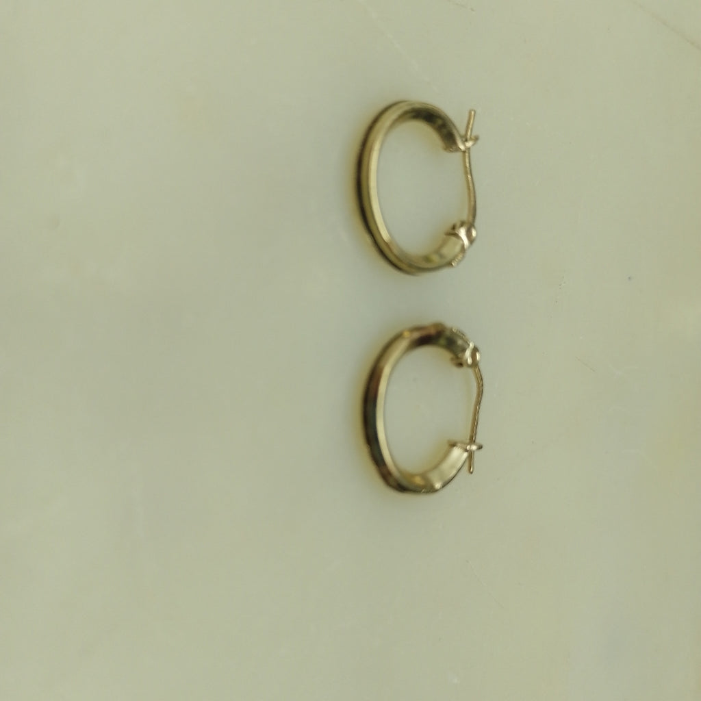 ARRACADAS PAR ORO 10 K 1.3 GRMS (SEMINUEVO)