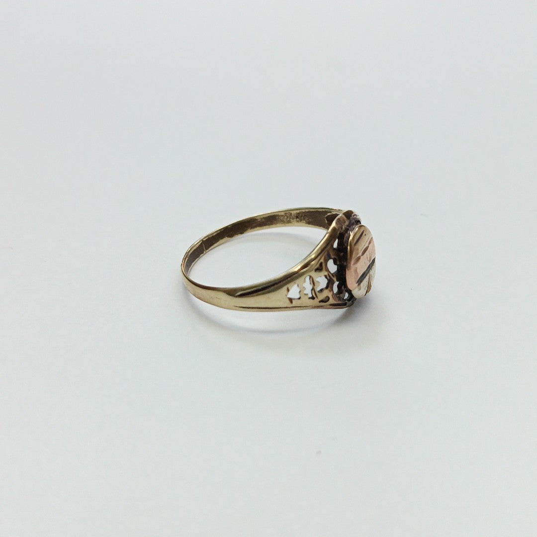 ANILLITO ORO,ORO COMBINADO 10 K 2,10 GRMS (SEMINUEVO)