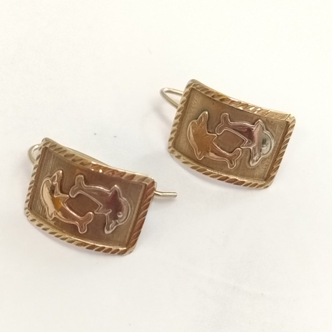 ARETES PAR ORO 10 K 2.1 GRMS (SEMINUEVO)