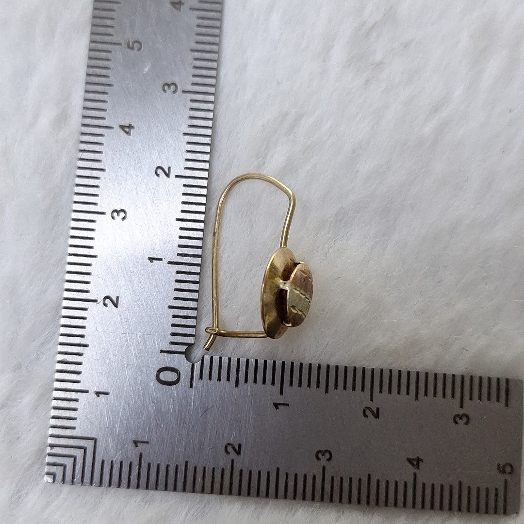 ARETES PAR ORO 10 K 1,40 GRMS (SEMINUEVO)