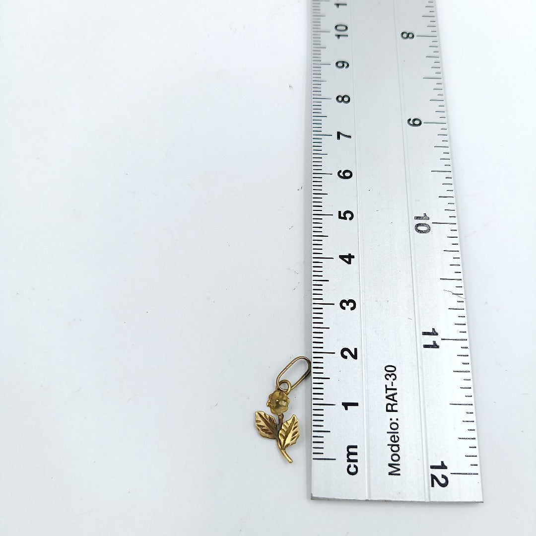 DIJE ORO 14 K 0.4 GRMS (SEMINUEVO)