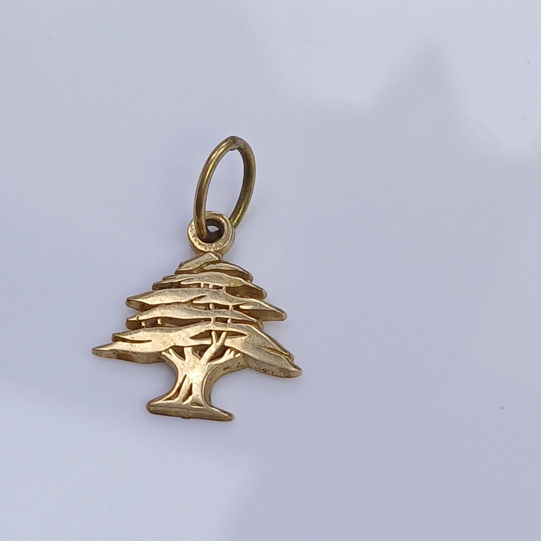 DIJE ORO 14 K 1.3 GRMS (SEMINUEVO)