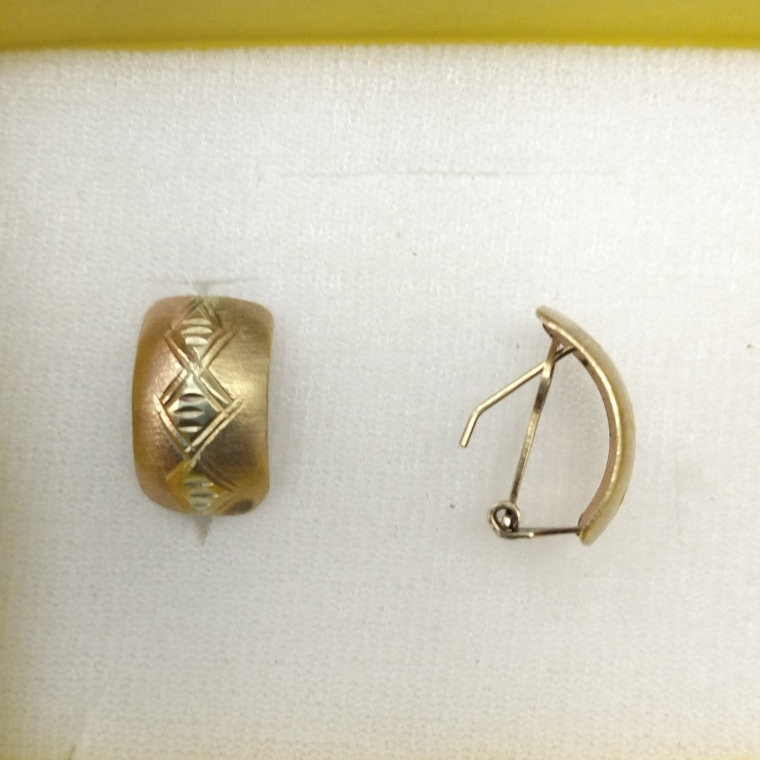 ARETES PAR ORO, ORO COMBINADO 10 K 2.7 GRMS (SEMINUEVO)