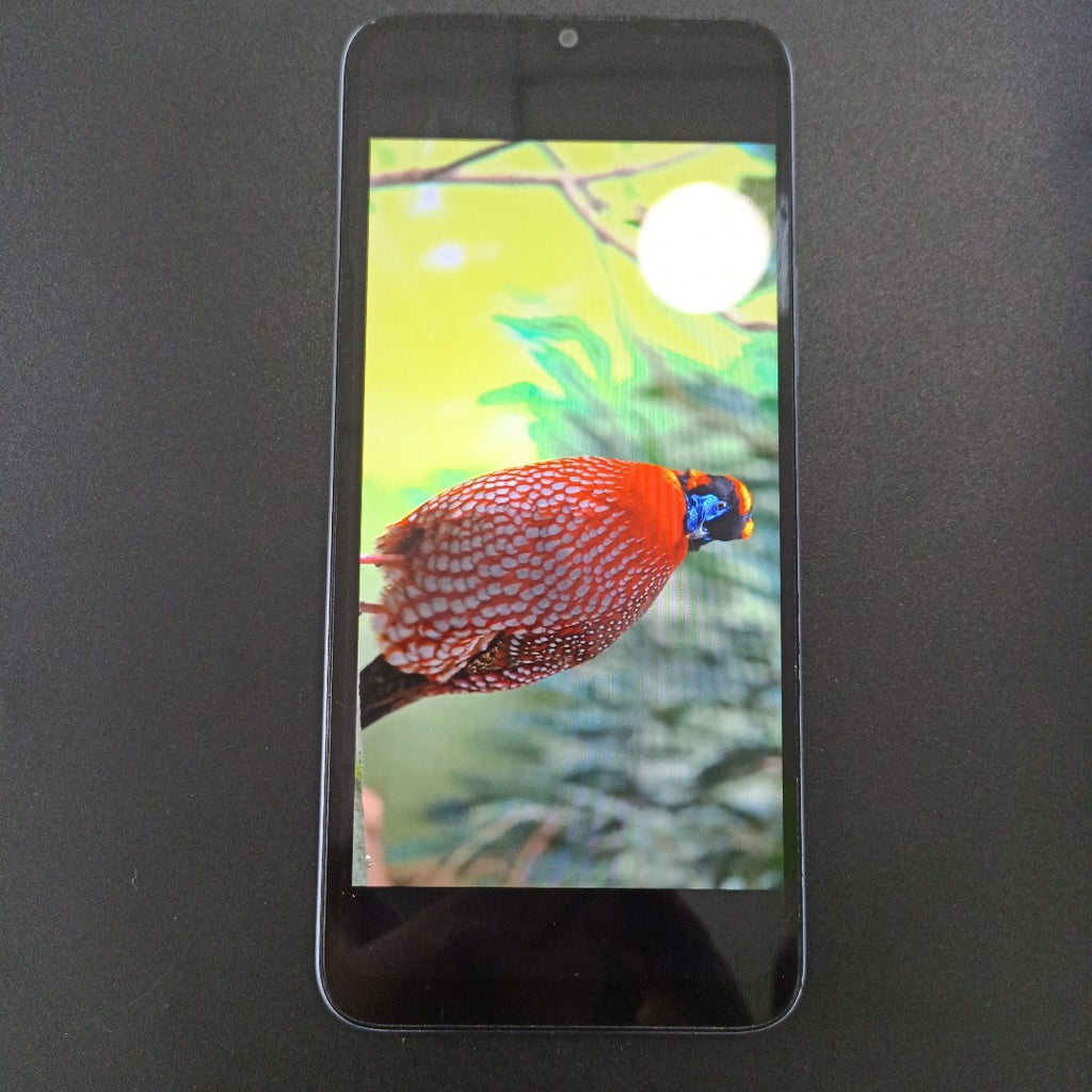CELULAR HONOR X6S VNE-LX3 128 GB 4 GB RAM (SEMINUEVO)