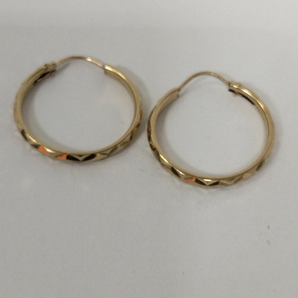 ARRACADAS PAR ORO 10 K 2 GRMS (SEMINUEVO)