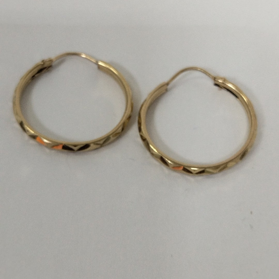 ARRACADAS PAR ORO 10 K 2 GRMS (SEMINUEVO)