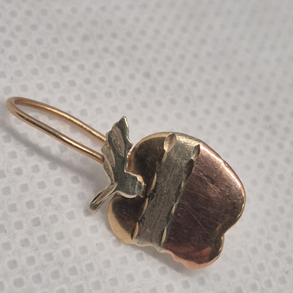 ARETES PAR ORO COMBINADO 10 K 1 GRMS (SEMINUEVO)