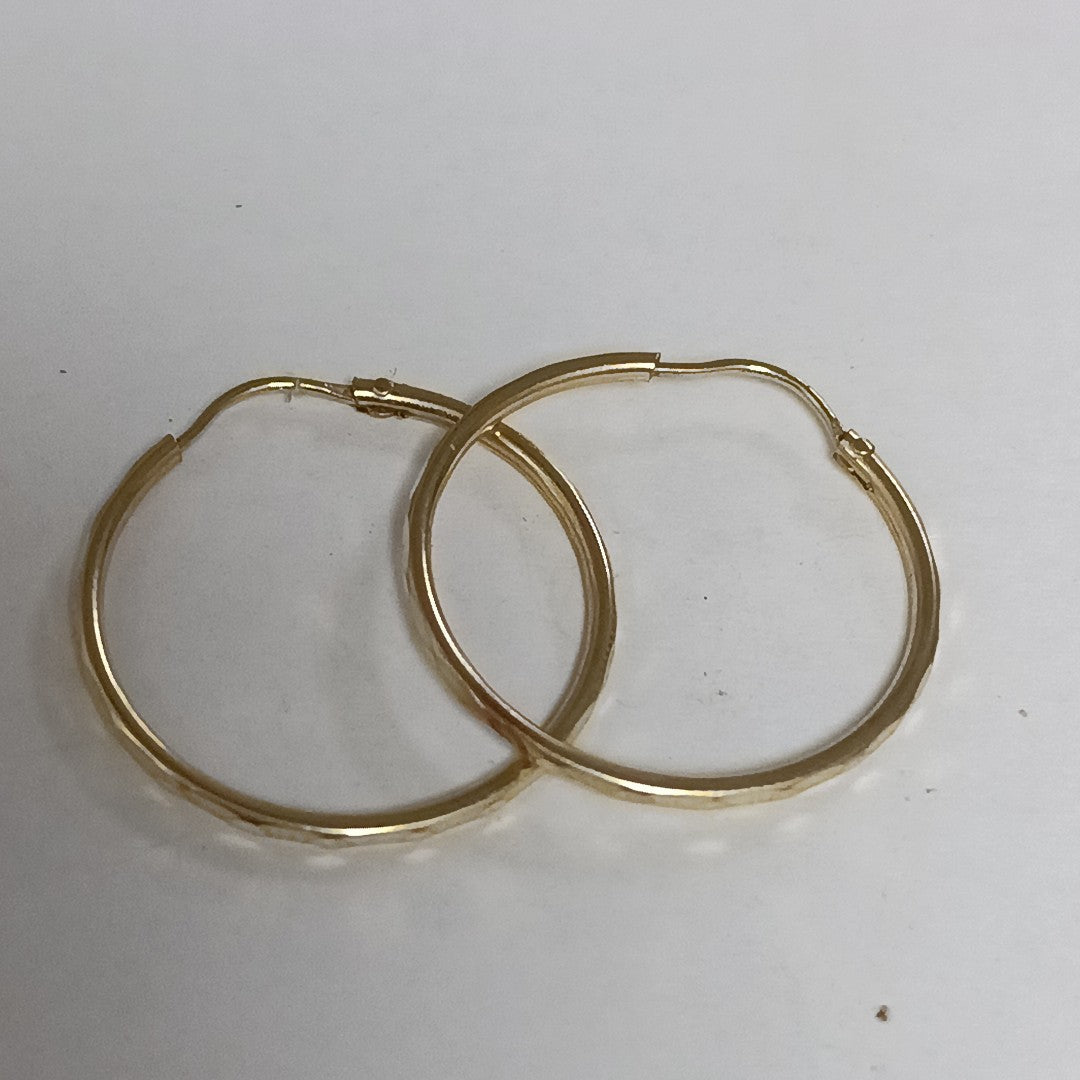 ARRACADAS PAR ORO 10 K 1.6 GRMS (SEMINUEVO)