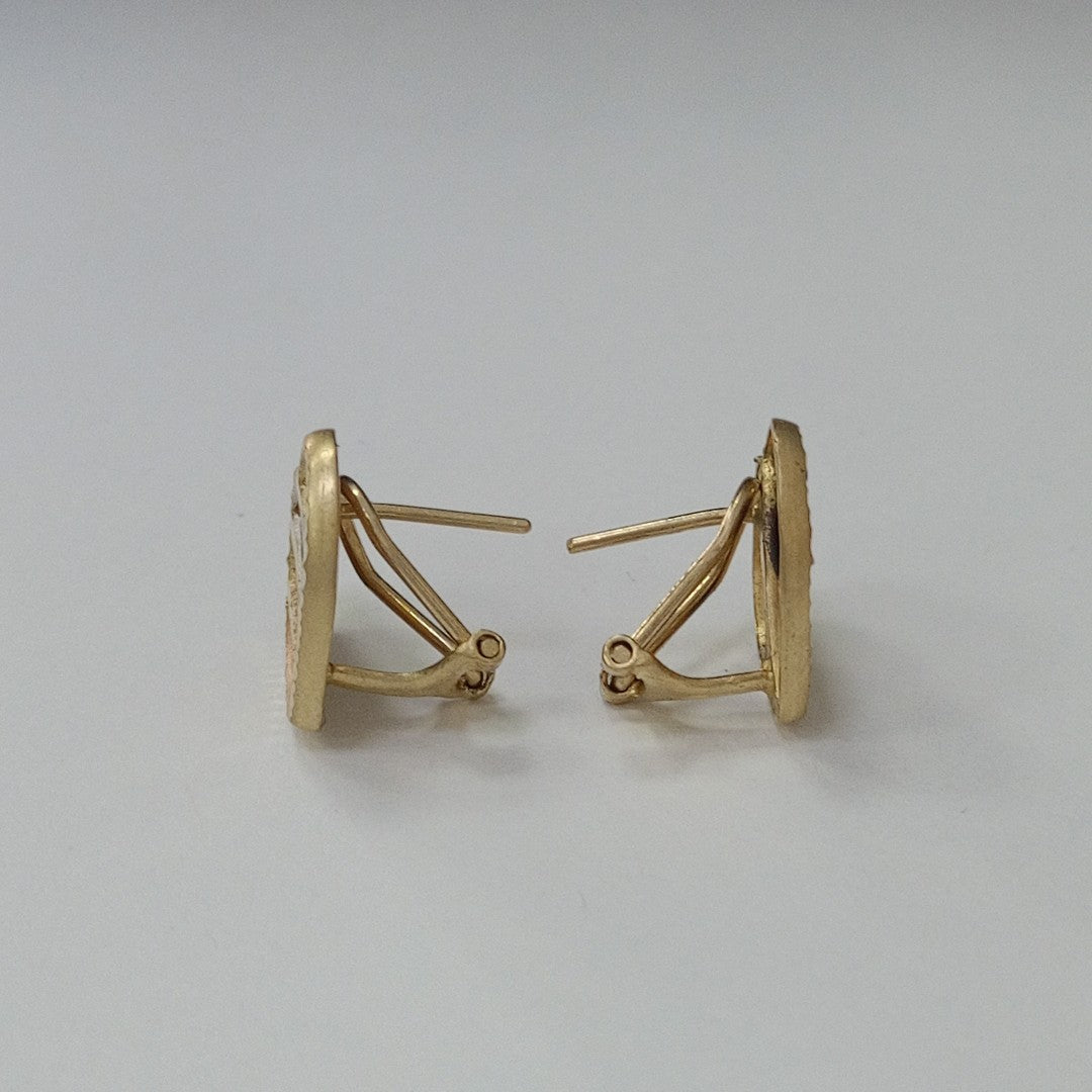 ARRACADAS PAR ORO 10 K 3,60 GRMS (SEMINUEVO)