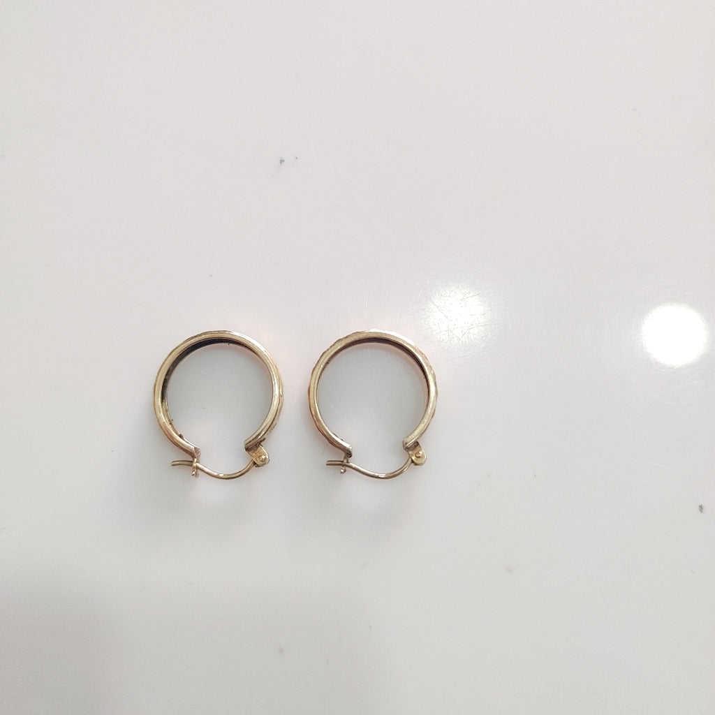 ARRACADAS PAR ORO 10 K 2,00 GRMS (SEMINUEVO)