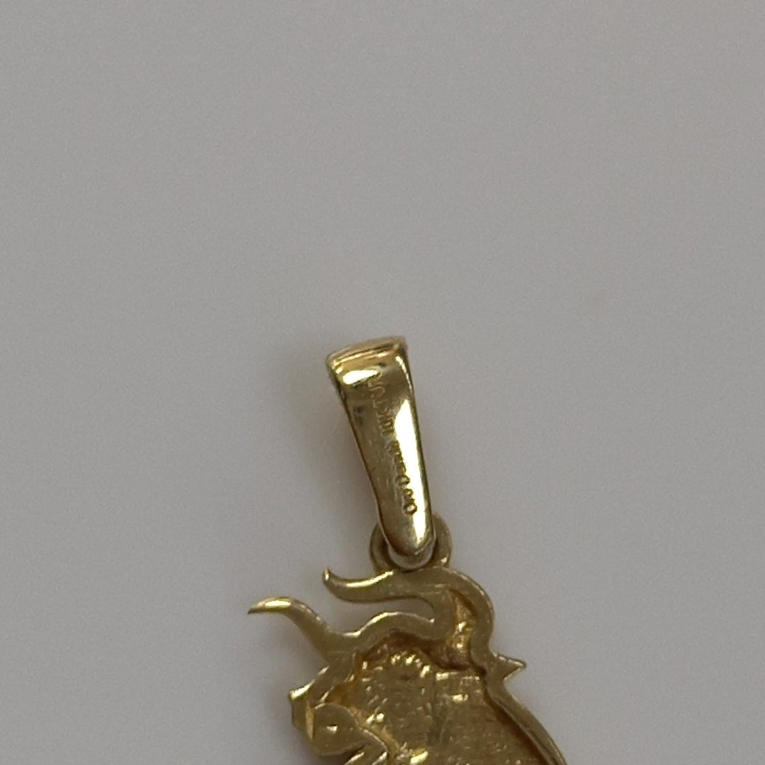 DIJES ORO 10K 1 (NUEVO)