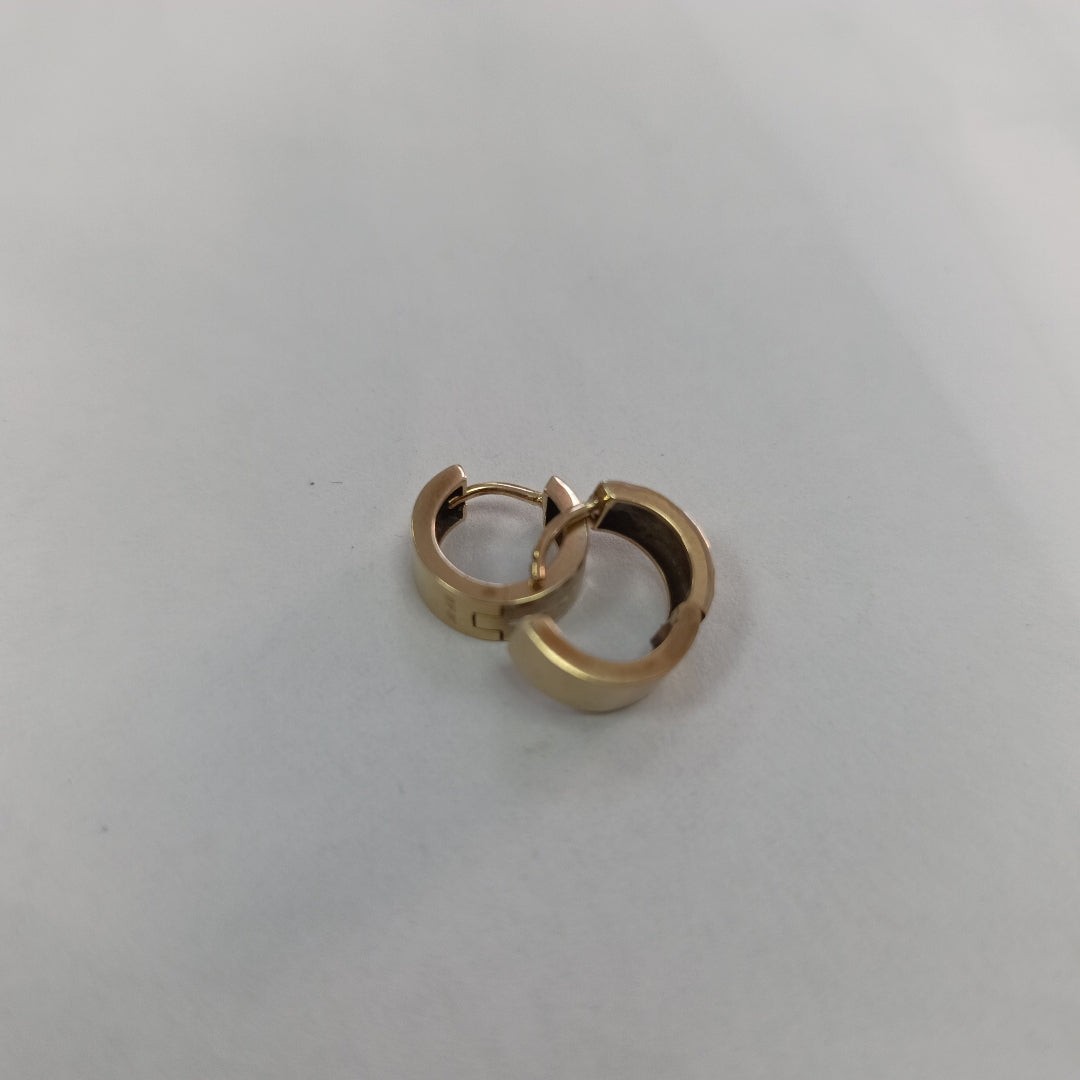 ARETES PAR ORO 10 K 2.9 GRMS (SEMINUEVO)