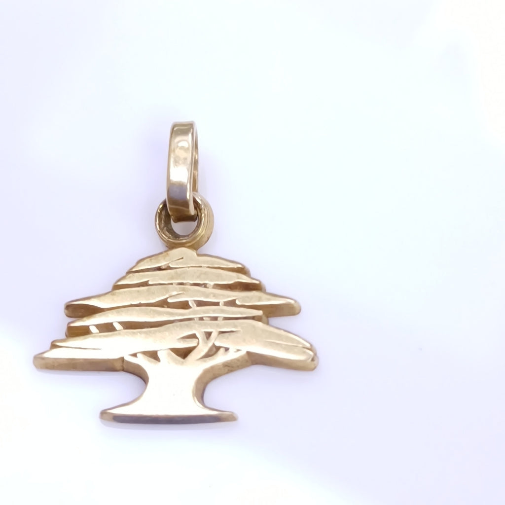 DIJE ORO 14 K 2.1 GRMS (SEMINUEVO)