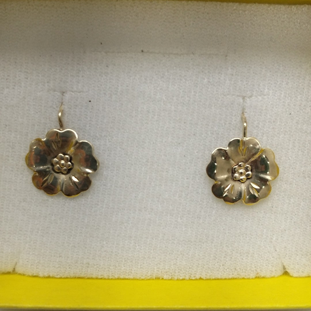 ARETES PAR ORO 10 K 1.8 GRMS (SEMINUEVO)