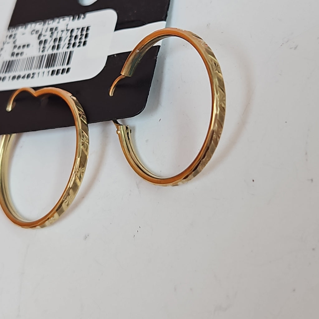 ARRACADAS PAR ORO 10 K 2.2 GRMS (SEMINUEVO)