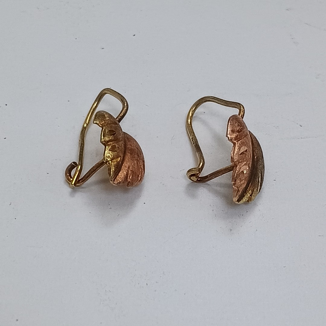ARETES PAR ORO 10 K 0.9 GRMS (SEMINUEVO)